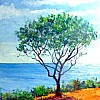 2025 Zonnebaden Olie op doek 40x50