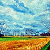 Maisveld in Evergem (41x51)
