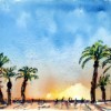 Palmiers in Agadir