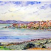 DSCN0566
