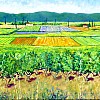 2026 Vignobles in Pont Saint Esprit olie op doek 75x45
