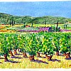 2026 Wijngaard in Pont Saint Esprit Pastel