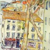 DSCN0752