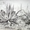 te20120419
