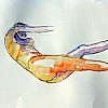 te20170503